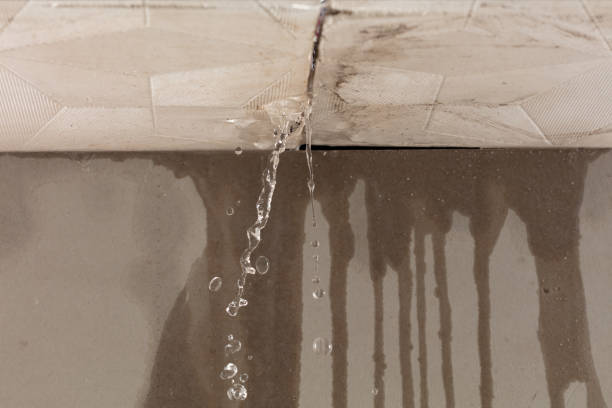 Professional Flood Damage Cleanup technician working in Elmendorf, TX